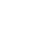 Seal Animal