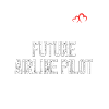 Future Airline Pilot Heartbeat Airplane
