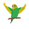Canary Budgerigar Wave Tick