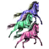 Chevaux