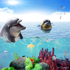 Dolphin Seal Scene Poster