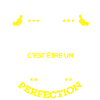 YANN PARFAIT - NOM YANN