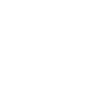 The Photographer