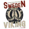Suède Vikings