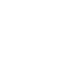 Hôtesse de l'air