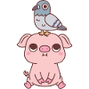 Cute Pigeon On Pig Doodle