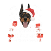 Doberman Drunk