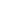 Broholm age Danish dog