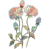 Blumen