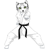 Katze Karate Kampfkunst Taekwondo