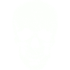 Premium skull