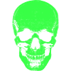 Vert crâne