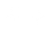 Hunde Pfote Herzschlag