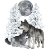 Loup, loups en hiver