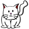 Cat cute