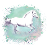 Moisissure,,cheval blanc, cheval, peinture,vert