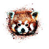 Rød panda, graffiti, maleri, panda bjørn, bjørn, brun