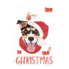 Jack Russell Terrier Noël
