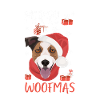 Jack Russell Terrier Noël