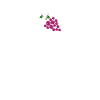 Papa Vigneron Cool Cadeau
