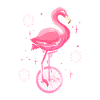 Unicycle Flamingo - Unicycle Riding