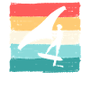 Wing Foiling Surf Surfing Surfer