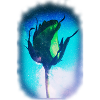 Rose/Stars
