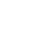 Ski