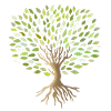 Baum