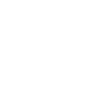 Aikido Fighter