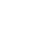 Tronçonneuse Evolution Tronçonneuse Bois