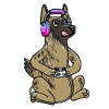 Hollandse Herdershond Dog Gamer Dutch