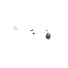 Eisbär