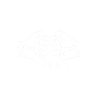Cousins Cousin