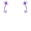 Atteignez votre potentiel neurologie Neurosciences