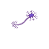 Neuron Whisperer