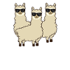 Alpaca Squad Love Alpacas