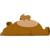 Kuschelbär