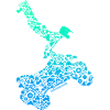 Quad