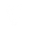 Lioness