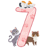 7th Birthday Girl Cat
