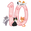 10ème anniversaire Fille Chat
