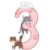 3rd Birthday Girl Cat