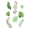 Plants Leaves Plant Lover