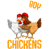 Chickens Young Chicken Gift