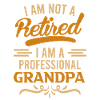 Pension 2022 Pensioner Grandpa Pension