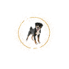 Entlebucher Mountain Dog Glitter Dogs