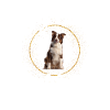 C’est Australian Shepherd Glitter Dog