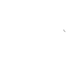 Turtle Turtles