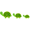 Tortue Tortues